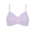 45071 Rhoda SBP 45071 lavender