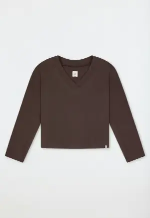 Schiesser 183978 pullover bruin